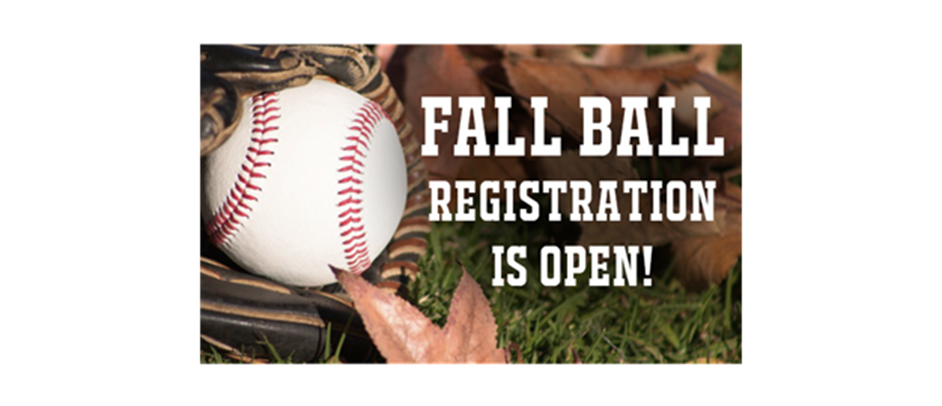 FALL BASEBALL